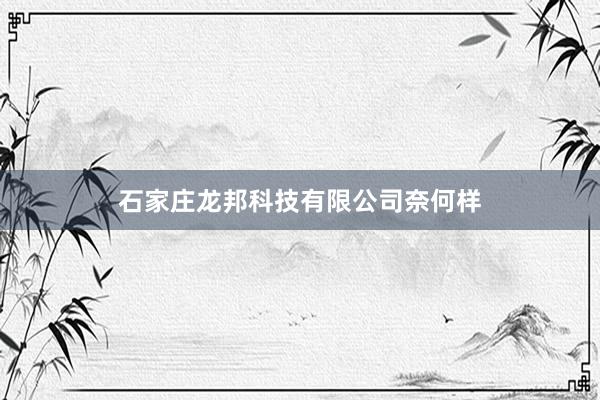 石家庄龙邦科技有限公司奈何样